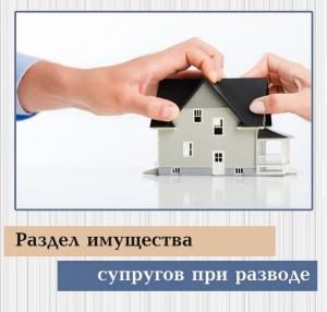 Фотография Юрист Дона 2