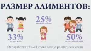 Фотография Юрист Дона 4